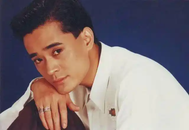 因春晚成名的陈汝佳,比肩刘欢毛宁,为何在梅艳芳出殡当天去世