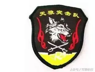 虎狼之师的中国特种部队徽章都长啥样看着都霸气中国特种兵南美称雄