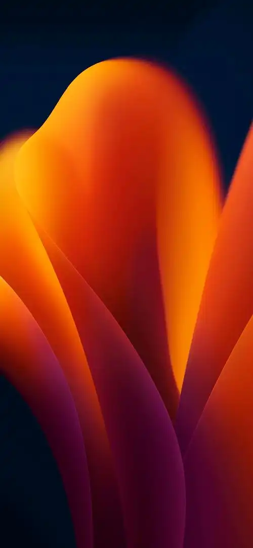 壁纸控:一组靓靓的高清iphone壁纸(含全面屏)_手机_礼物_二次元