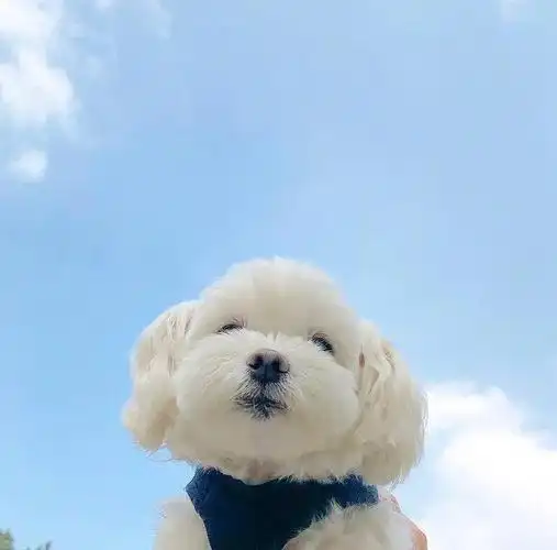 发朋友圈快乐的句子治愈系唯美心情语录