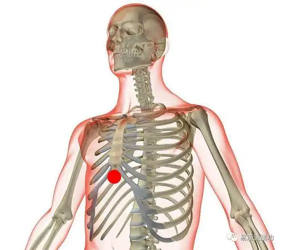 两肩中间,大椎骨下,第三节于第四节脊椎骨中间,此处有鼓起之意,不可有