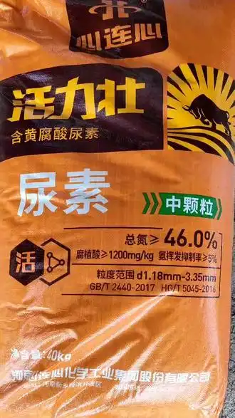 前年的大蒜去年的葱今年的肥料上天