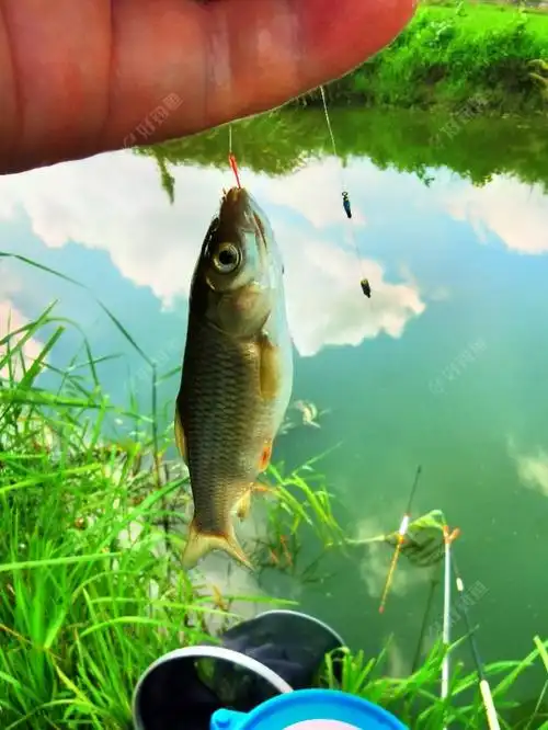 短竿小钩细线组,小鱼玩出新高度 - 好钓鱼