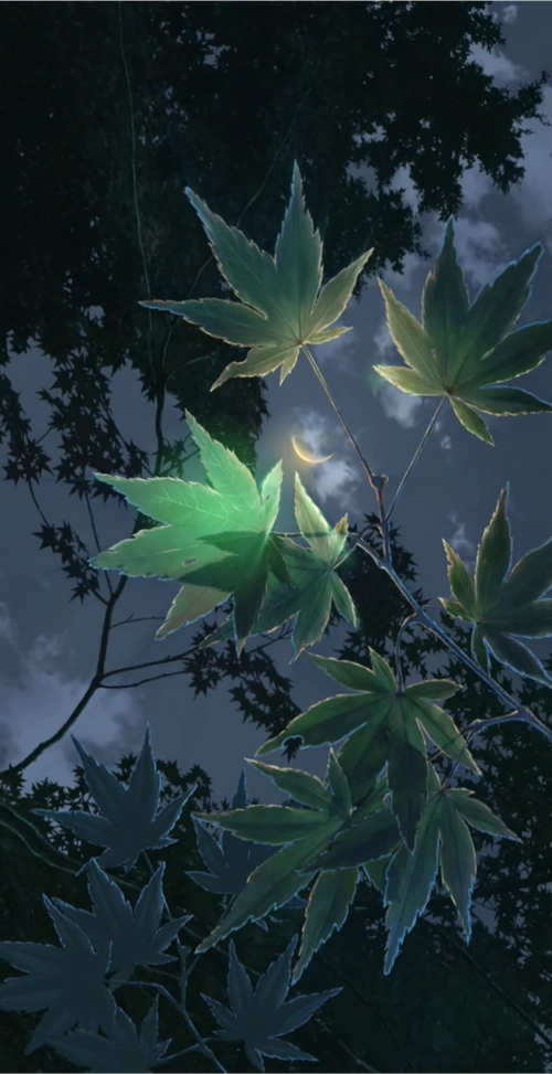 动漫壁纸新海诚言叶之庭横屏动漫壁纸赞评论更多