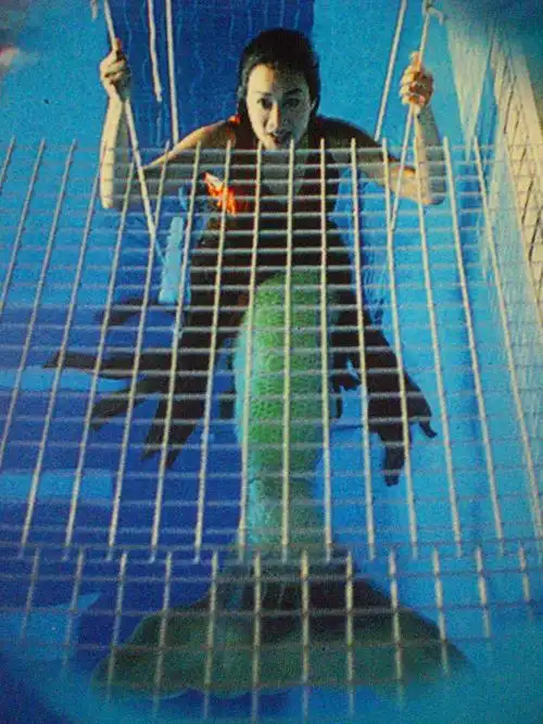 人鱼传说renyuchuanshuo(1994)