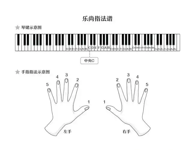 指法谱是基于弹奏钢琴的基础即指法配合编写的,回归到弹琴的本质,真正