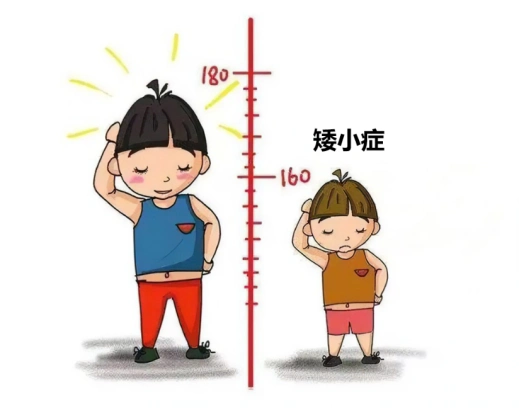 矮小症和生长激素