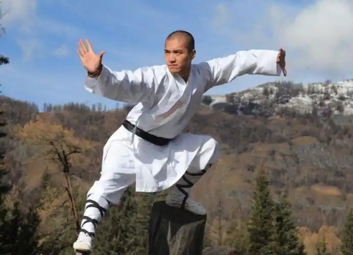 【活动预告】文化聚能,同心战"疫"|看见多彩非遗(十一) 少林功夫