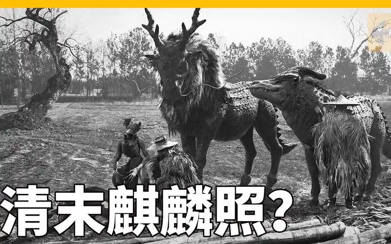 麒麟存在吗清朝末年惊现麒麟照拍到的是什么鬼