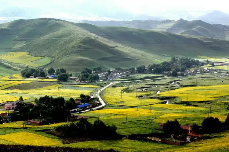 美丽的草原我的家 - 美篇