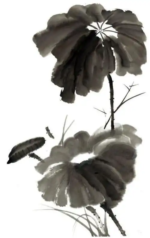 画荷技法|画荷叶可以选用这4种组合方式