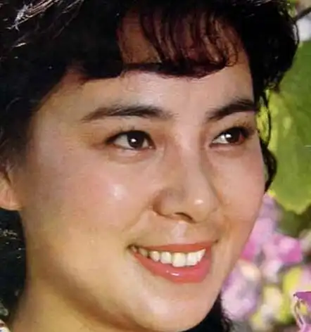 【图】演员丁岚个人近况出炉 身在新加坡仍心系祖国