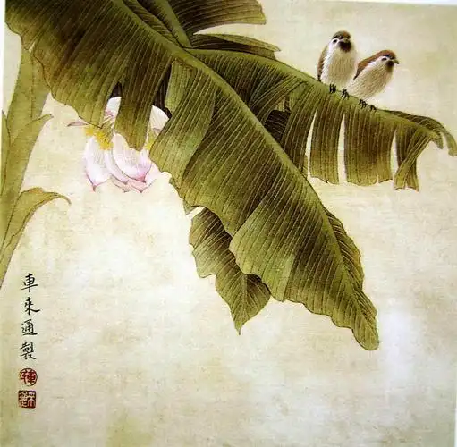 芭蕉工笔技法步骤