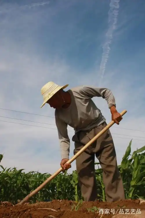 改革创新,还看榆次东阳