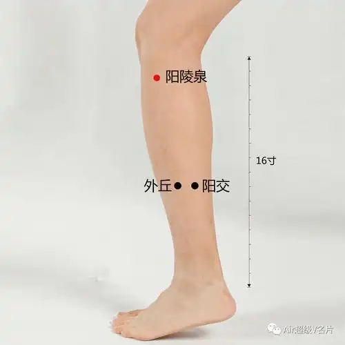 了解八会穴,善用八会穴,事半功倍!