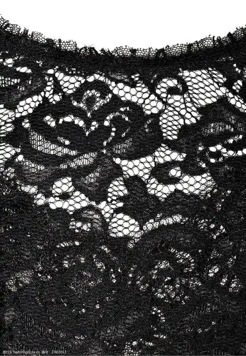 蕾丝 免费素材 实物面料 蕾丝 面料图库 服装图案 免费下载     黑色