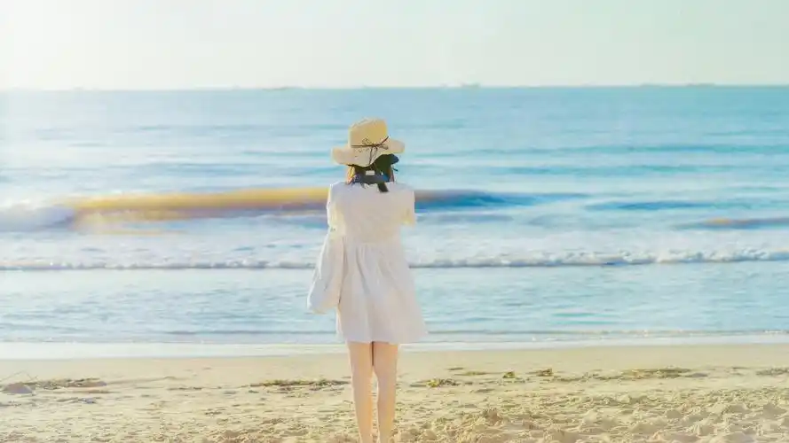 一个人的背影很是凄凉