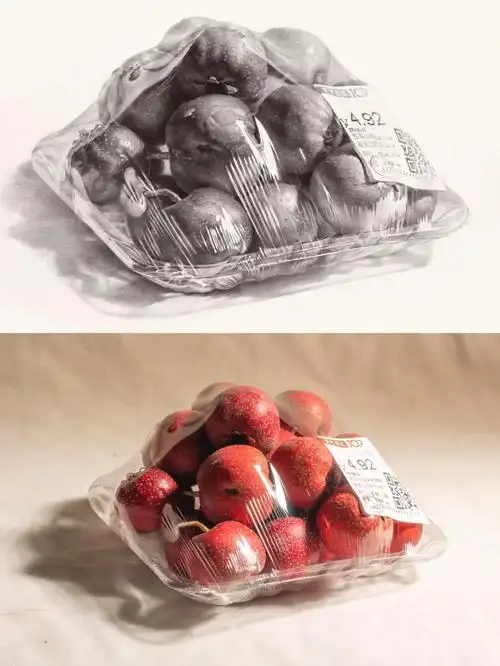 塑料袋山楂精微素描步骤图