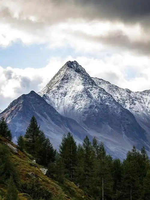 高山,秋季,景观