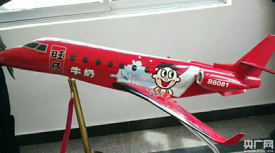 红色机身,旺仔图案的旺旺公务机,还是第一架直航两岸的私人飞机.