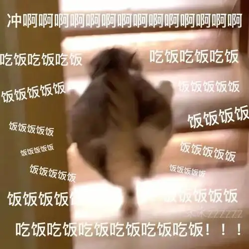 干饭猫干饭魂
