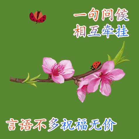 2021冬季早上好动态表情图 天冷早安祝福语大全