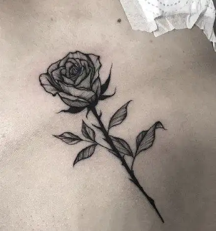 漂亮的一枝玫瑰花纹身图案9张