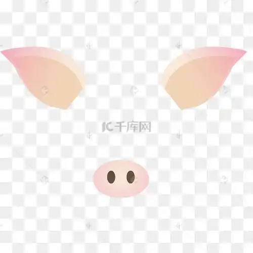 猪耳朵