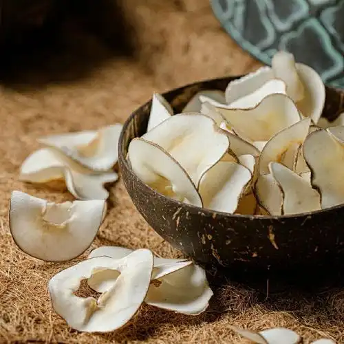 优选中药材无硫海底椰广东煲汤料椰子片干货海底椰雪梨膏原材料 海底