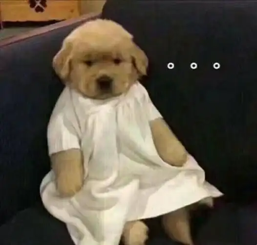 无语 - 今日份热门表情包精选-2017/10/31_斗图表情