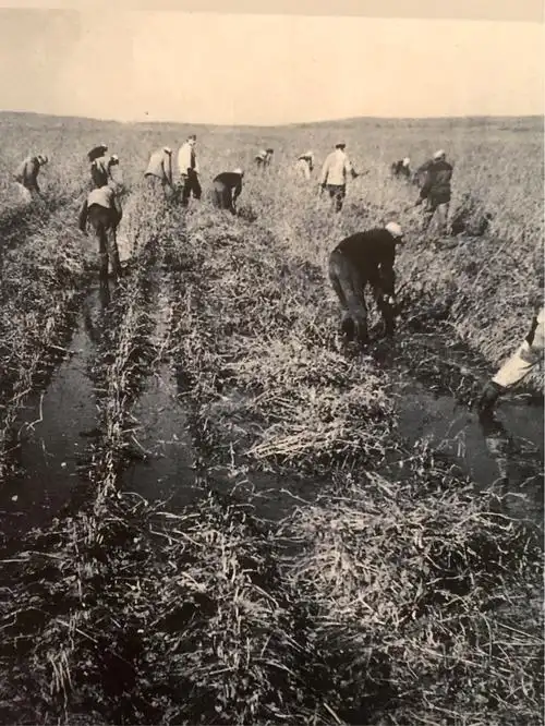 参观北大荒知青老照片回顾展