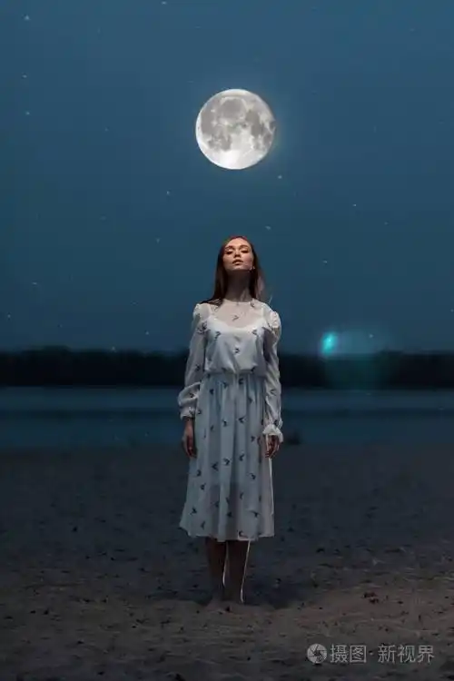 月光下一个年轻漂亮女孩的画像