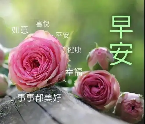 玫瑰花图片唯美带字 - 搜狗图片搜索