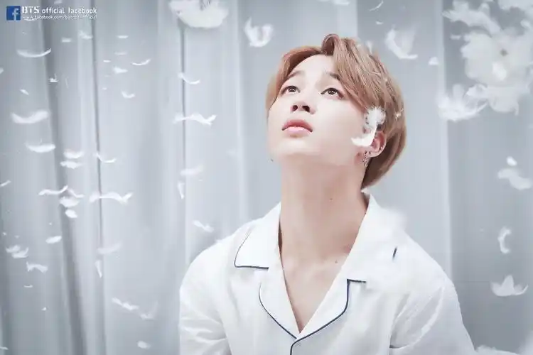 bts 防弹少年团 金南俊 金珍硕 闵玧其 郑号锡 朴智旻 金泰亨 田柾国