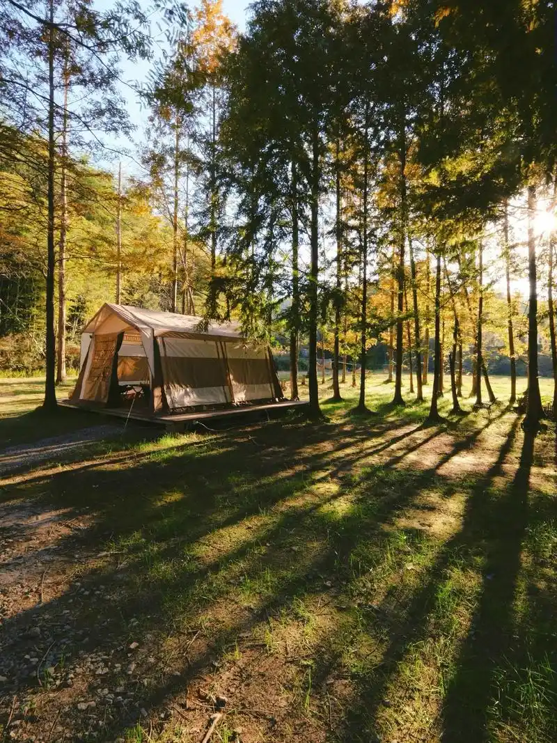 午后,阳光温和地洒在每一个角落,空气中弥漫着慵懒的气息.