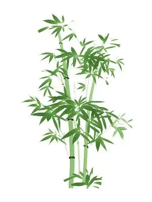 绿色卡通手绘竹子竹叶竹竿清明节元素png素材