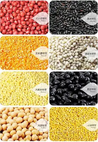 五谷杂粮礼盒 臻味五谷香杂粮组合黑豆小米红豆有机年货礼盒包邮