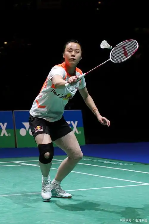 赵芸蕾:羽坛双冠王的传奇之路