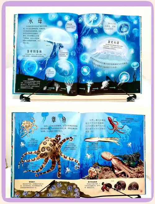 🌊《dk海洋百科》儿童科普绘本