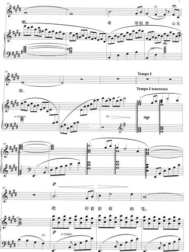 96声乐谱——《怀念曲》e调正谱五线谱