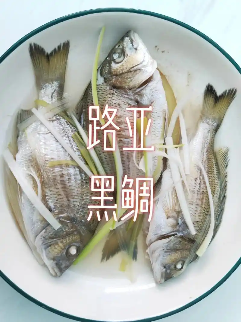 黑鲷鱼真好吃! 肉嫩无刺,清蒸就很鲜 #原来钓鱼才 - 抖音