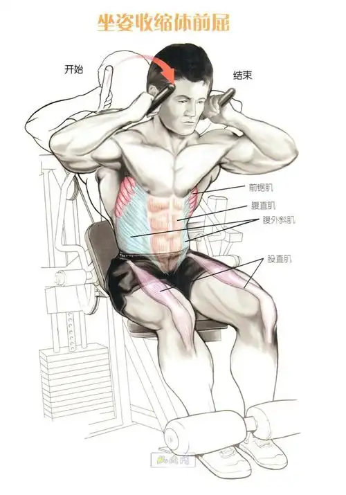 腹肌训练动作图解,健身房练腹肌动作图解 - now健身-fit|fit健身