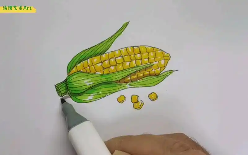 亲子美术:玉米画法