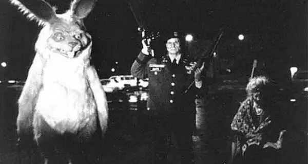 美国恐怖兔人真的存在吗揭秘兔人真实事件图片流出