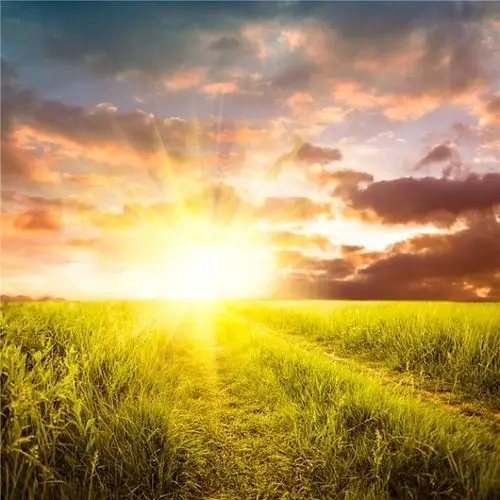 阳光乍现图片_全景网