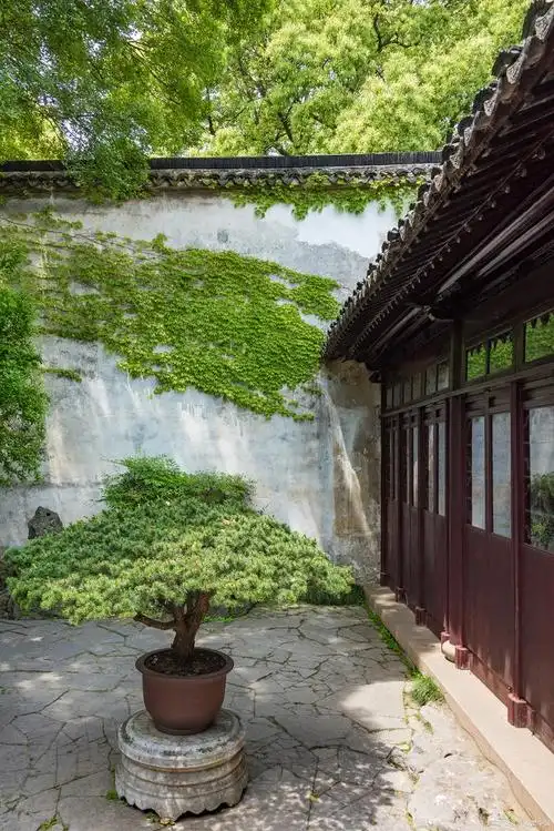 苏州留园就像一位含蓄温婉的女子,婉转悠长,韵味十足