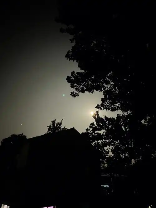 村庄的夜晚真安静,只有自己坐在屋顶,喝一泡茶,与月亮独自相对!