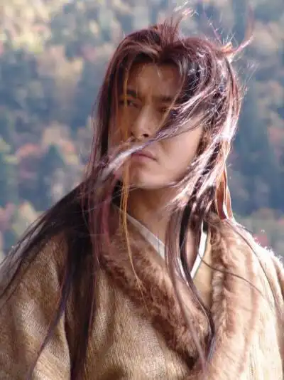 神雕侠侣杨过,黄晓明