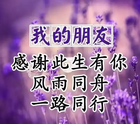 写给此生遇到的真心朋友