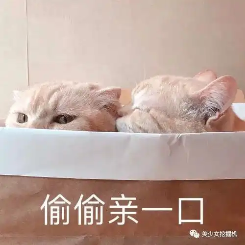 头像表情包大户全网萌宠顶流每天都有百万明星粉丝催更